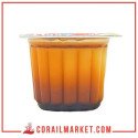 Flan caramel  soummam 100 g