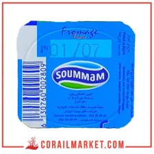 Formage frais soummam 30 g