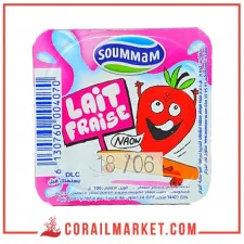Yaourt lait fraise soummam 100 g