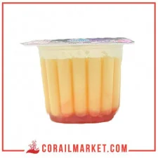 ياغورت بالتوت العليق باناكوطا صومام 100غ